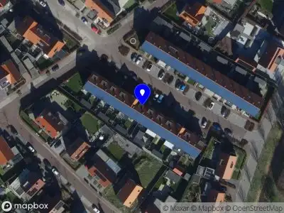 de Bruine Advies & Handel