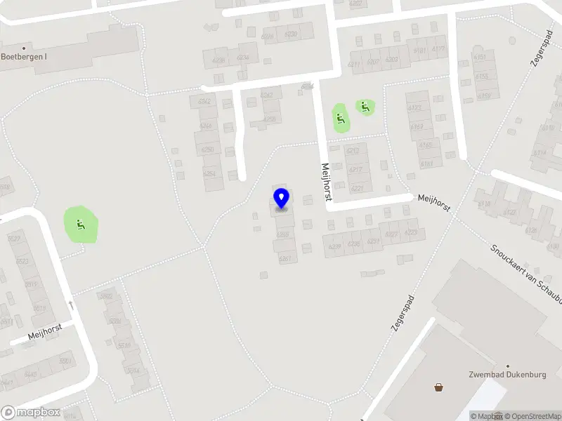 Cecile Buteau leeuwenburgh