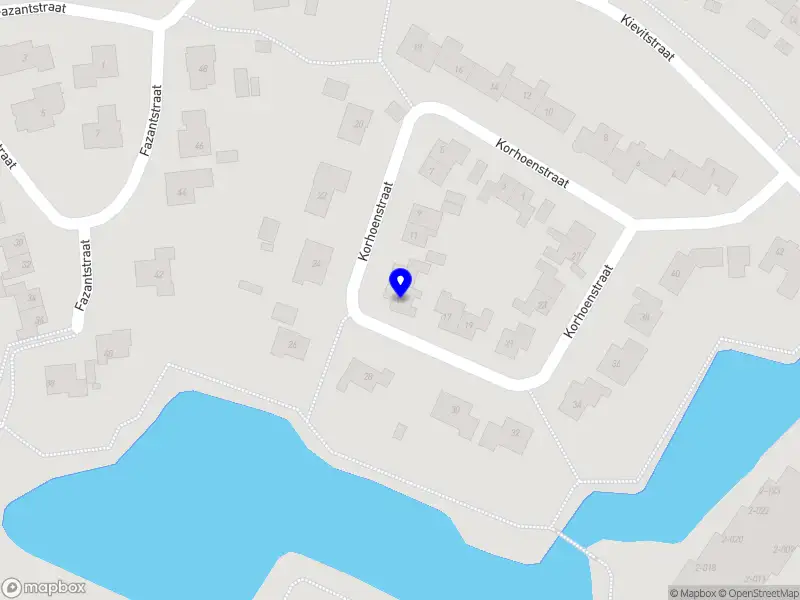 Statement the Agency