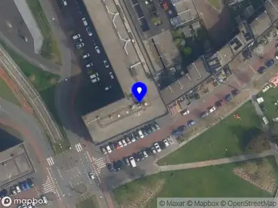 Nieuw bedrijf YouTree Coaching & Reiki