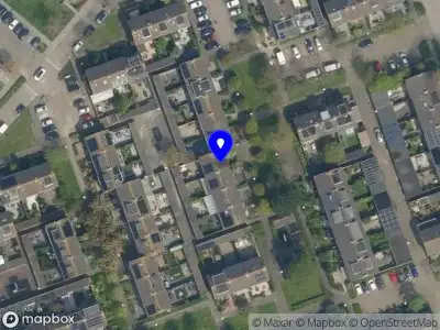 M. Mordeniz Services