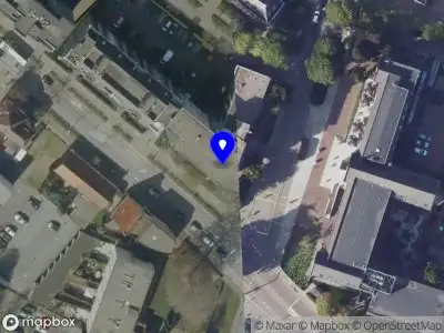 Earth Coaching Paardencoaching