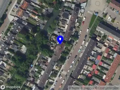 Pinélo Illustraties