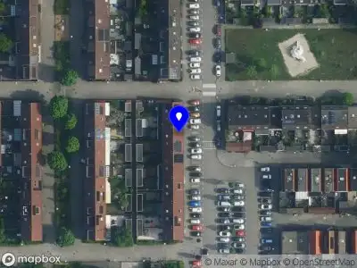 Vaessen Hovenier Amsterdam