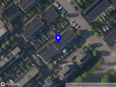 Steynbach Leiden