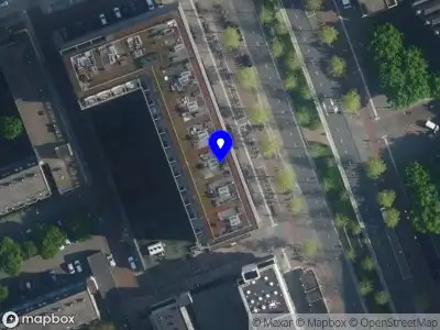 Moiraine Consultancy Amsterdam