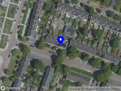 Lily 'n Blue Eindhoven