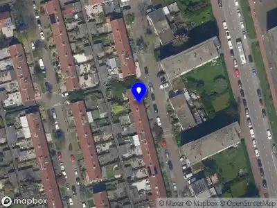 rietdekkersbedrijf vd kamp Vlaardingen