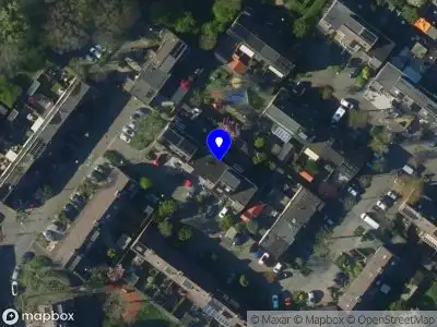 Groenbaard Alkmaar
