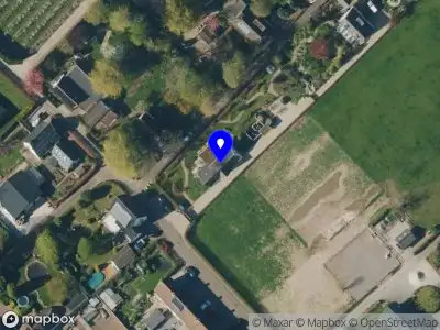 Haardhout Meesters Ingen