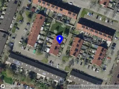 Sanaco Export and Import