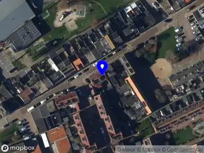 Frani's Fantastic Future