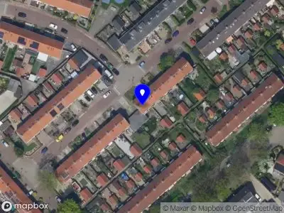 Holly in Holland Breukelen
