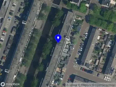 B. G. Dental support