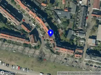 Mignon Analyse Arnhem