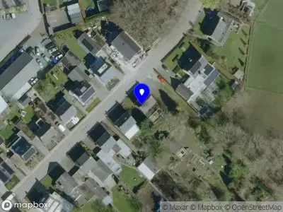 Nieuw bedrijf Pure Leaves