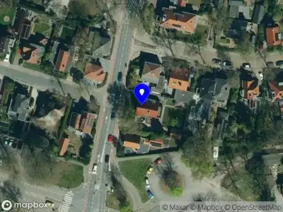 Nieuw bedrijf Nelleke van der Sluijs - Altviolist