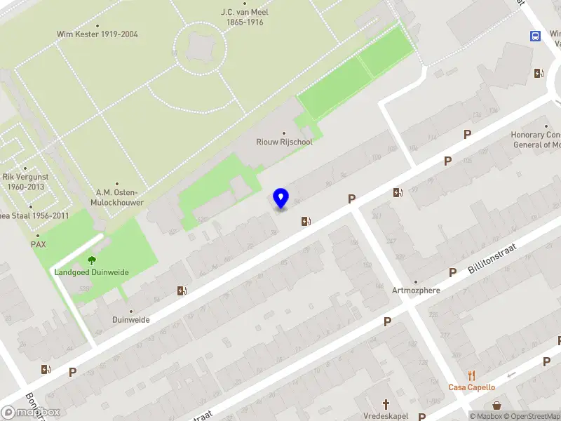 Coffee Chamomile Digital Marketing