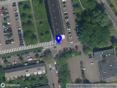 león águila ZAANDAM