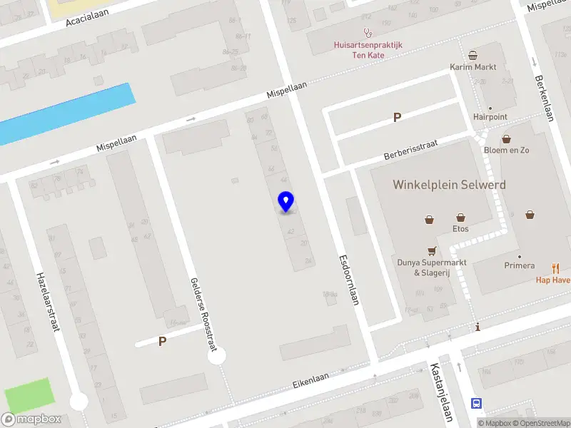 Zorem zorgt Groningen
