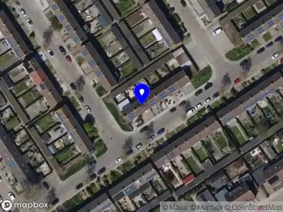 Nieuw bedrijf Daisies ontruimingen