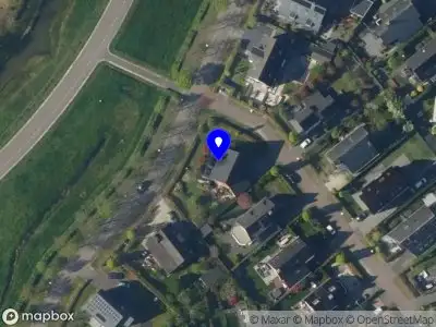 DigiBees email marketing