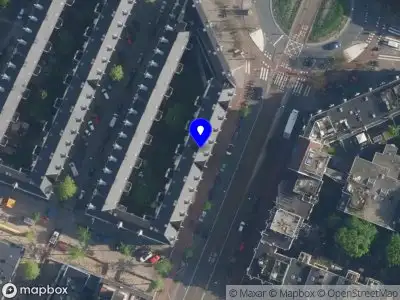Monestera Amsterdam