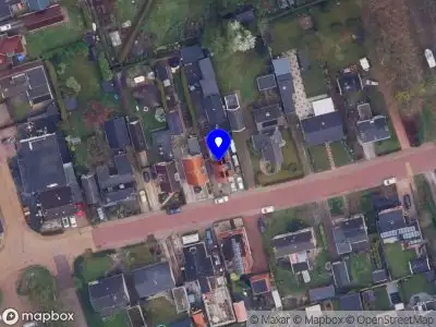 Het welzijnmannetje Boornbergum