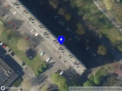 Febe de Vos - Tattoo Artist