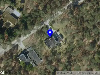 Silva Professional Services