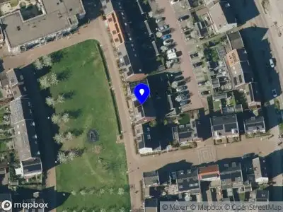 DMC Interim Management