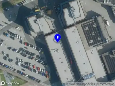 Visspecialist van Wijk