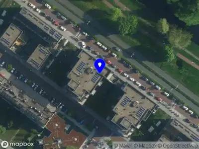 Curlique Amsterdam
