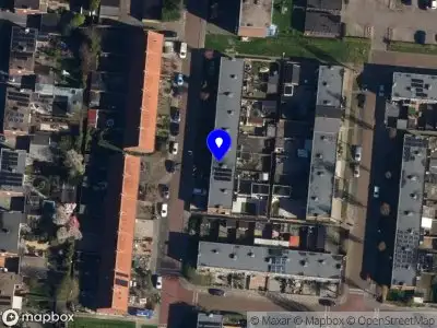 Flora trading Sneek