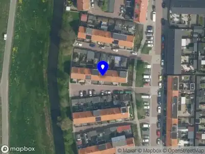 De kleine papegaai Gouda