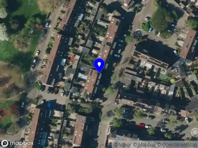 Pleister Paradijs Wijk bij Duurstede