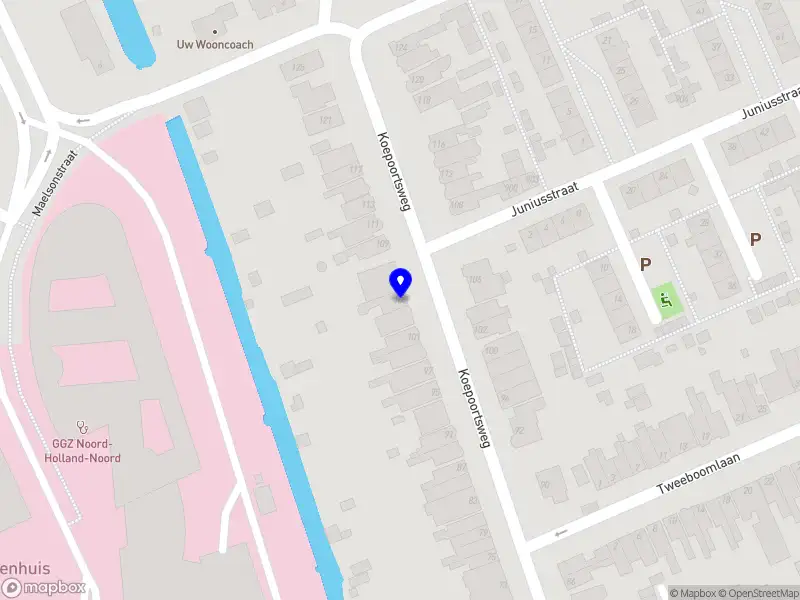 Leone Magistrale B.V.