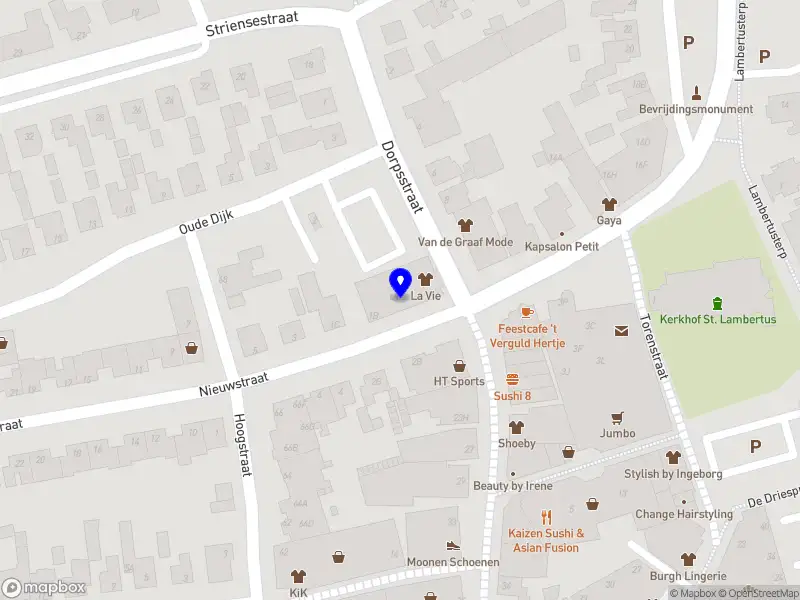 Spiritueel coach & therapeut Viola