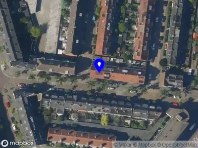 Annika Meerman Training & Coaching