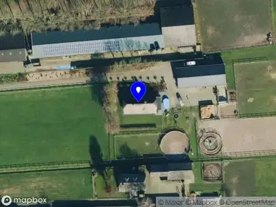 Paardenrevalidatie Gelderland OOSTERWOLDE GLD