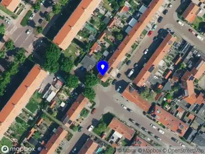 Nieuw bedrijf Bosch Boomverzorging