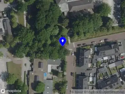 About paper and cotton