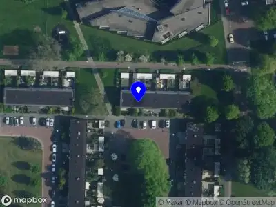 Loulou van der Gaast