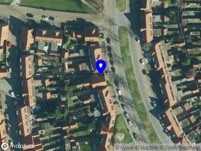 Anne-Lynn Bos Graphic Designer