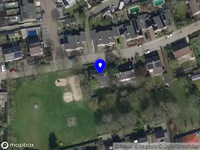 Nieuw bedrijf Dutch Dolphins B.V.