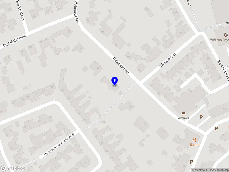 Nieuw bedrijf GreenPRO Wizzflix B.V.