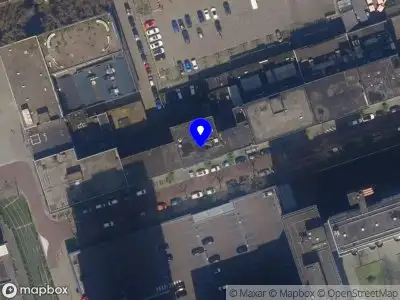 DEADCAT Rotterdam
