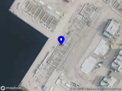 Pek Street Shenanigans