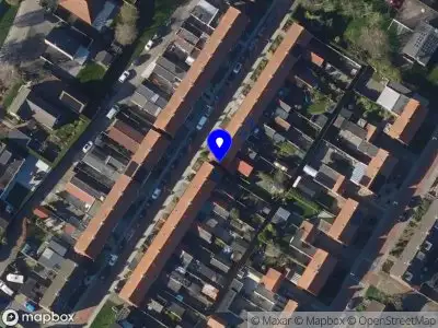 Nieuw bedrijf Andreea Vacareanu