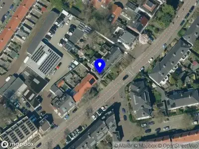 Frog Vise Arnhem